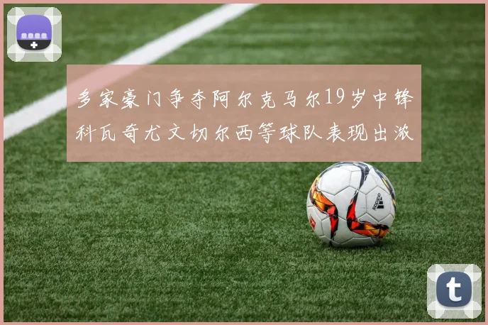 多家豪门争夺阿尔克马尔19岁中锋科瓦奇尤文切尔西等球队表现出浓厚兴趣