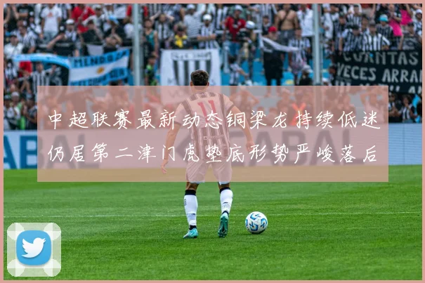 中超联赛最新动态铜梁龙持续低迷仍居第二津门虎垫底形势严峻落后安全区九分
